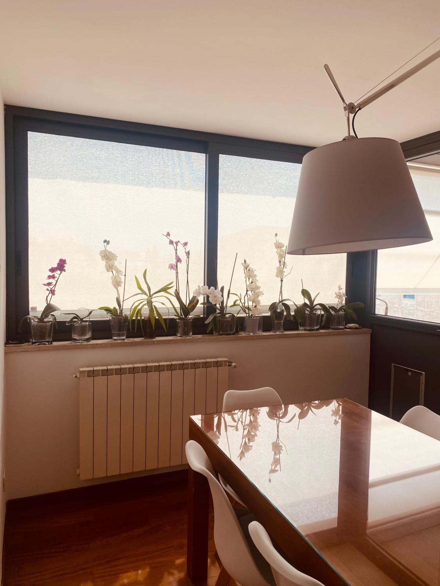 La Casa Di Dani Apartment Флоренция Екстериор снимка